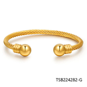 Earring Studs Women Jewelry Girl TSB224282