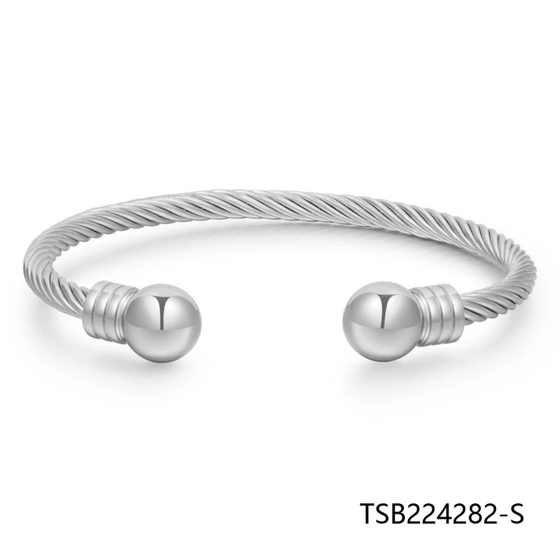 Earring Studs Women Jewelry Girl TSB224282