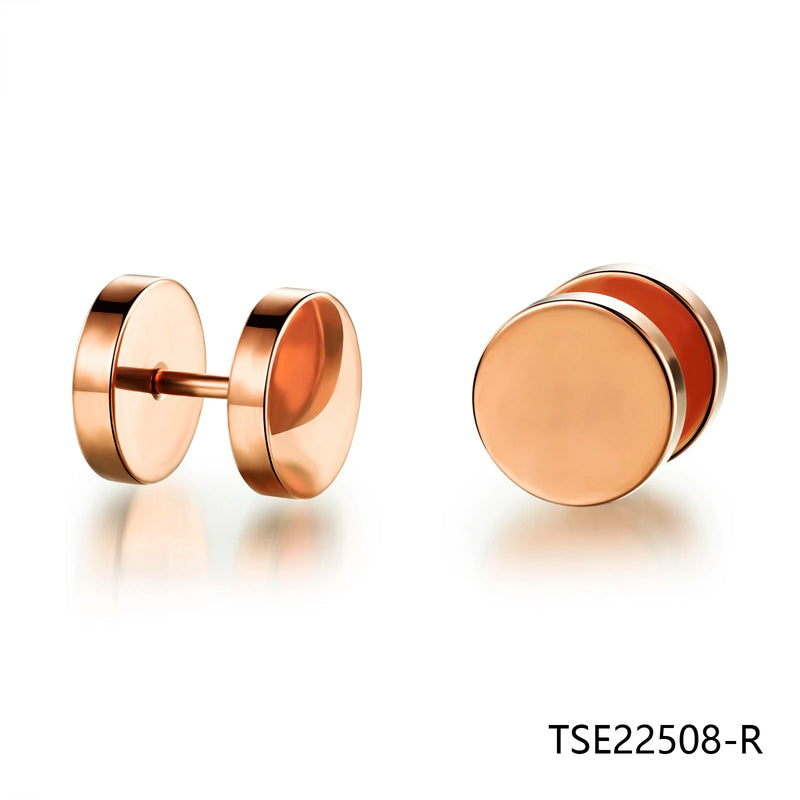 Stylish Stud Earrings for Women TSE22508