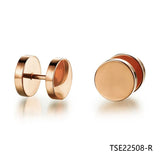 Stylish Stud Earrings for Women TSE22508