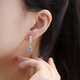 S925 Silver Oval Crystal Pendant Earrings