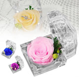 Preserved Rose Flower Ring Box Jewelry Holder Gift