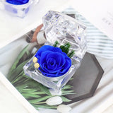 Preserved Rose Flower Ring Box Jewelry Holder Gift