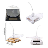 Display Stand Set Sunglasses Solar Organizer Window Display Rack