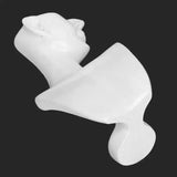 Clear View Jewelry Display Bust Stand for Pendants, Earrings