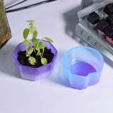 DIY Epoxy Resin Succulent Flower Pot Silicone Mold