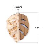 Resin & Wood Effect Pendants Leaf Natural Multicolor Charms