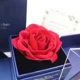 Preserved Roses Flower Necklace for Her in Romantic Christmas