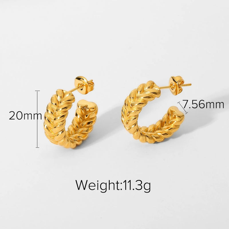 Double Layer C Shape Earrings 18k Plated Stainless Steel