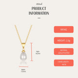 Dowi Shell Beads Clavicle Chain Necklace for Women