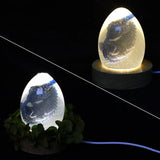 Dragon Egg Epoxy Resin Casting Mold for DIY Lamp Home Decor