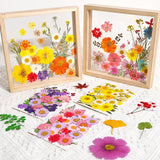 Dried Flower Box Aromatherapy Candle Flowers for DIY Crafts