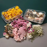 Dried Flower Box Aromatherapy Candle Flowers for DIY Crafts