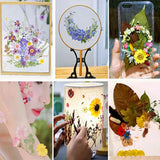 Dried Flower Box Aromatherapy Candle Flowers for DIY Crafts