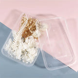 Dried Flower Box Aromatherapy Candle Flowers for DIY Crafts