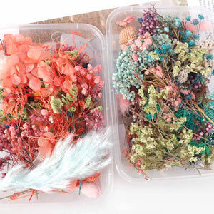 Dried Flowers Box Aromatherapy Floating Flowers
