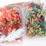 Dried Flowers Box Aromatherapy Floating Flowers