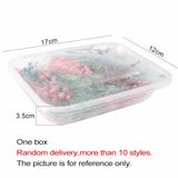 Dried Flowers Box Aromatherapy Floating Flowers