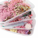 Dried Flowers Box Aromatherapy Floating Flowers
