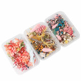 Dried Flowers Box Aromatherapy Floating Flowers