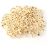 Dried Flowers Brazil Little Star Flower DIY Craft Epoxy Resin Candle Nail Art