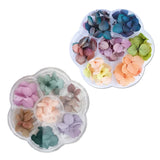Dried Flowers Resin Crafts Filling Material