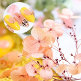 Dried Flowers Resin Crafts Filling Material