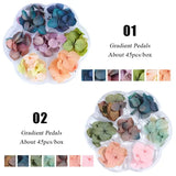 Dried Flowers Resin Crafts Filling Material