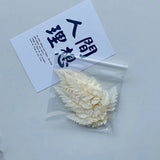 Dried Flowers Dry Plants Epoxy Resin Casting Mold DIY Aromatherapy Candle Molds