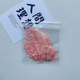 Dried Flowers Dry Plants Epoxy Resin Casting Mold DIY Aromatherapy Candle Molds