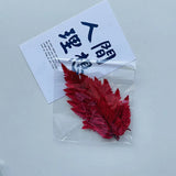 Dried Flowers Dry Plants Epoxy Resin Casting Mold DIY Aromatherapy Candle Molds