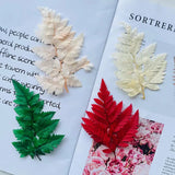 Dried Flowers Dry Plants Epoxy Resin Casting Mold DIY Aromatherapy Candle Molds