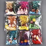 Dried Flowers for Resin Pendant Jewelry Decor DIY Pressed Floral Art