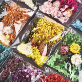 Dried Flowers for Resin UV Epoxy Mold Pendant Jewelry Decor