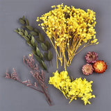 Dried Flowers for Resin UV Epoxy Mold Pendant Jewelry Decor