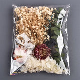 Dried Flowers for Resin UV Epoxy Mold Pendant Jewelry Decor