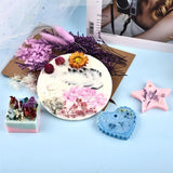 Dried Flowers for Resin Pendant Jewelry Decor DIY Pressed Floral Art