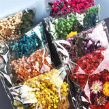 Dried Flowers for Resin UV Epoxy Mold Pendant Jewelry Decor