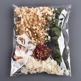 Dried Flowers for Resin Pendant Jewelry Decor DIY Pressed Floral Art