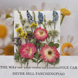Pressed Dried Flowers for Candle Epoxy Resin Mold