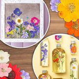 Pressed Dried Flowers for Candle Epoxy Resin Mold