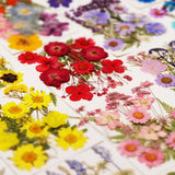 Pressed Dried Flowers for Candle Epoxy Resin Mold