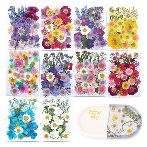 Real Dried Flowers for Resin Molds Jewelry Crafts DIY
