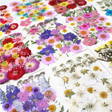 Real Dried Flowers for Resin Molds Jewelry Crafts DIY