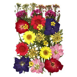 Dried Flowers Resin Filling Beauty Stickers DIY Epoxy Resin Jewelry Making