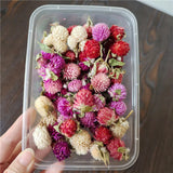 Dried Flowers Wedding Party Decoration Epoxy Resin Real Dry Plant