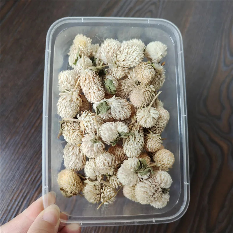 Dried Flowers Wedding Party Decoration Epoxy Resin Real Dry Plant
