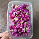 Dried Flowers Wedding Party Decoration Epoxy Resin Real Dry Plant