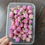 Dried Flowers Wedding Party Decoration Epoxy Resin Real Dry Plant