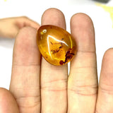 Natural Amber Pendant Gemstone Necklace For Gift